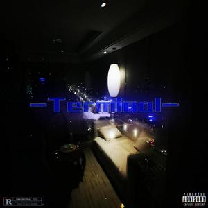 Terminal-Vibeboi&Lazysheep“末”