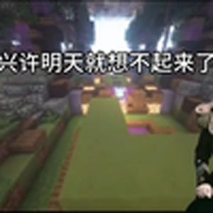 只看丁真文学，来世还做牛马