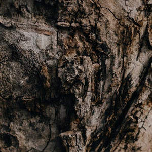 Before You Break My Heart