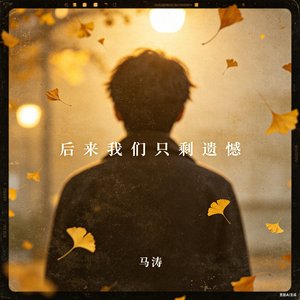 《后来我们只剩遗憾》