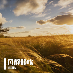 风静静吹