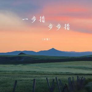 一步错步步错 (DJ版)