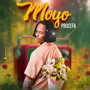Moyo