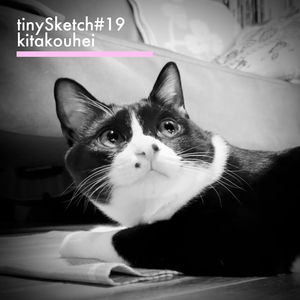tinySketch #19