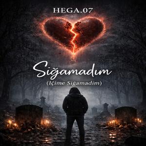 Sığamadım (içime sığamadım)