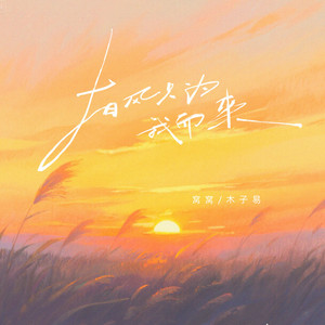 有风只为我而来