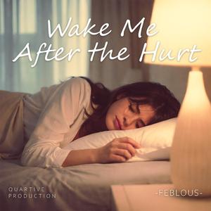 Wake Me After the Hurt