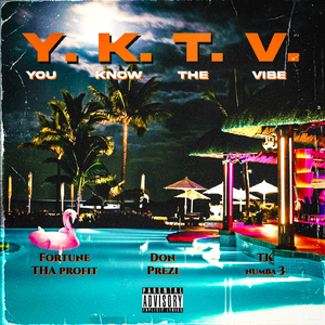 YKTV (You Know the Vibes) [feat. Fortune Tha Profit & Tk Numba3]