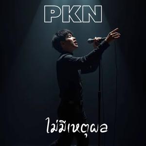 ไม่มีเหตุผล (Acoustic Version)