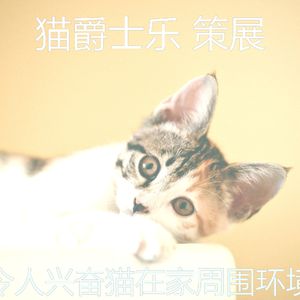有趣睡猫情怀