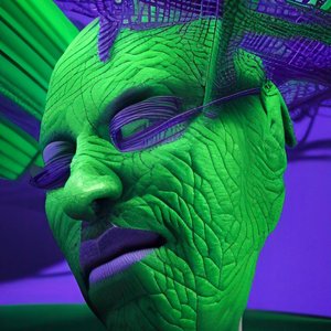 100 Reasons to Destroy Your Face