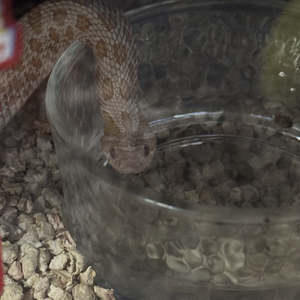 听说你过得很好我竟可耻地有点失落