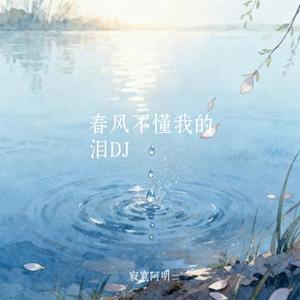 春风不懂我的泪DJ (Cover 袁小袁)