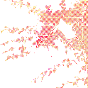 little lost soul