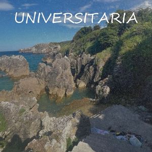 Universitaria