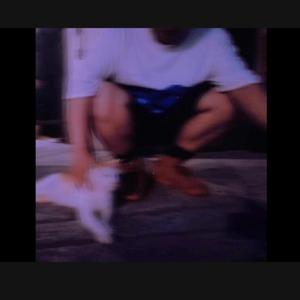 moonlight(cover:胥睿cover:lil milk)（翻自 lil milk）