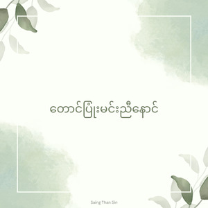 တောင်ပြုံးမင်းညီနောင်
