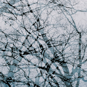 双 张远/陈卓璇