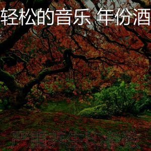 一尘不染睡眠印象数