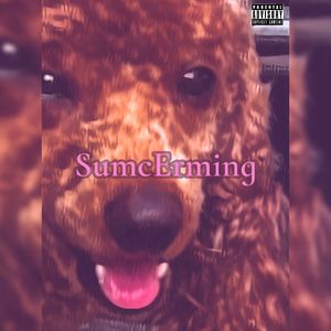 【free】"夏挚" SumcErming