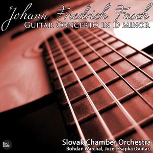 Guitar Concerto in D Minor: I. Allegro moderato