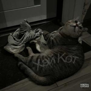 Хэй Кот