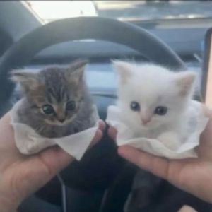 同一片天为何好久不见