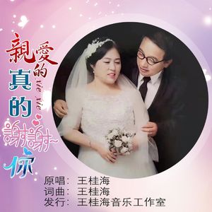 亲爱的真的谢谢你 伴奏