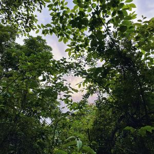 云一定知道(Live)