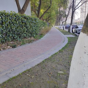 迪克牛仔的《水手》