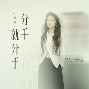 分手就分手 (DJ京仔版)