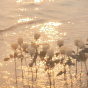 [Free]"冬日" Pop Piano Beat