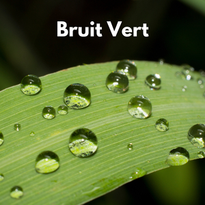 Bruit Vert Propre