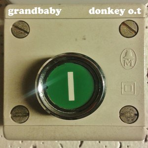 Donkey O.T