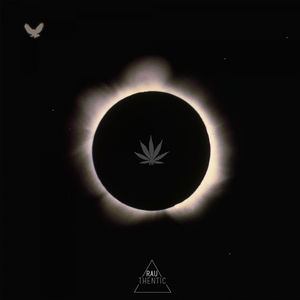 Moon Children