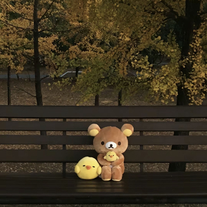 以前最怕一个人后来一直一个人