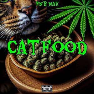 CatFood