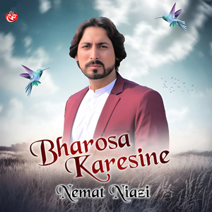 Bharosa Karesine