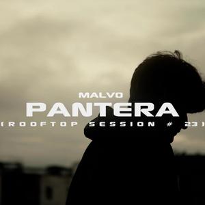 Pantera (feat. Malvo)