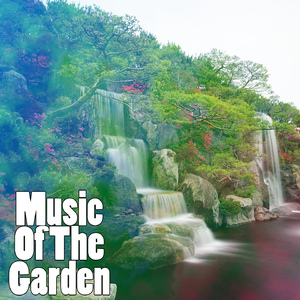 A Walk Through The Garden