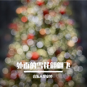 外面的雪花翩翩飞