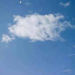群芳苑