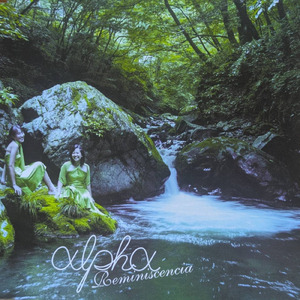 プラタナスの散歩道