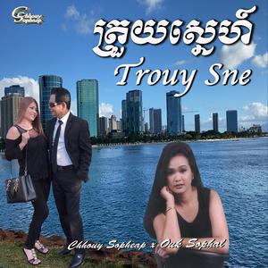 Trouy Sne