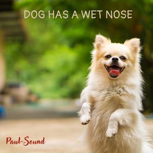 DOG HAS A WET NOSE