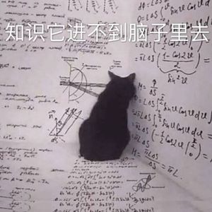 ૮₍˶ᵔᵕᵔ˶₎ა