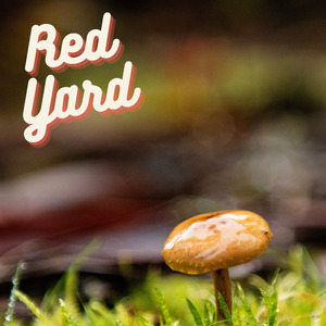 Red Yard