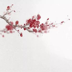 秦淮八艳（琵琶）（翻自 玉璇玑）