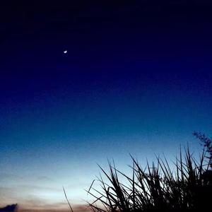 夜
