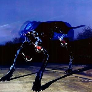 dogz & bonez (feat. Yokai Aimaina)